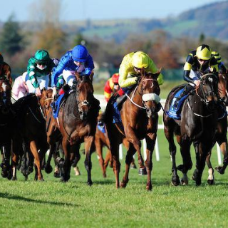 Own a Racehorse image